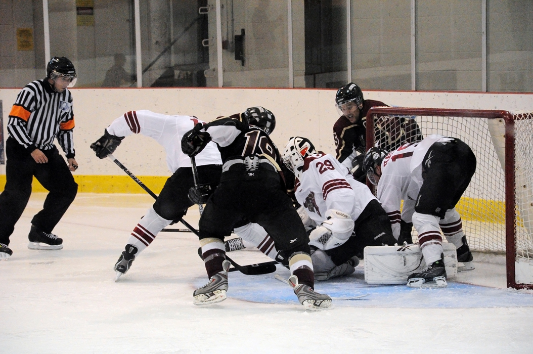 Stingers Improve to 31 With Win Over Ottawa Sports The Link