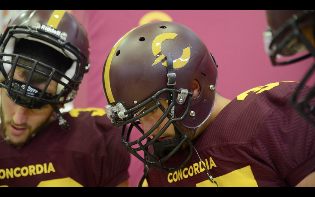 Sports Previews: What You Need to Know About the Concordia Stingers ...