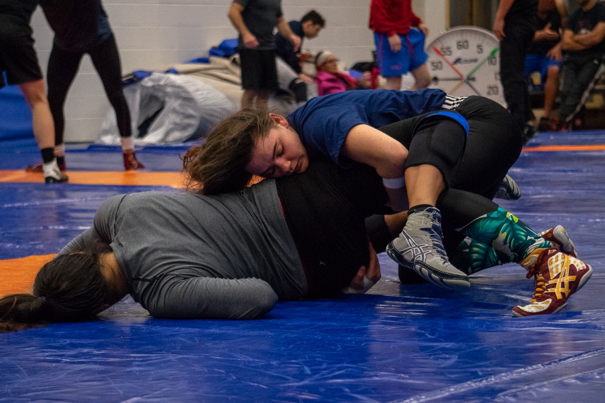 Stingers Wrestling Brings Home Medals Sports The Link