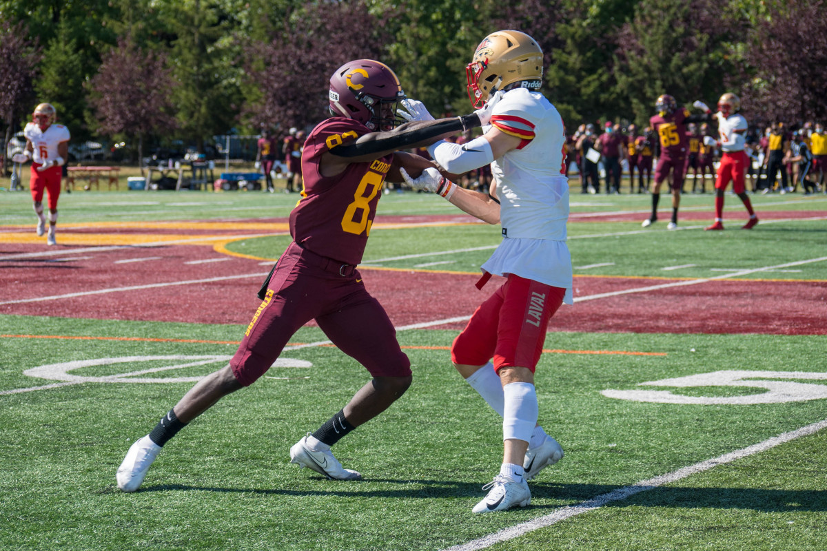 Redbirds essay picture