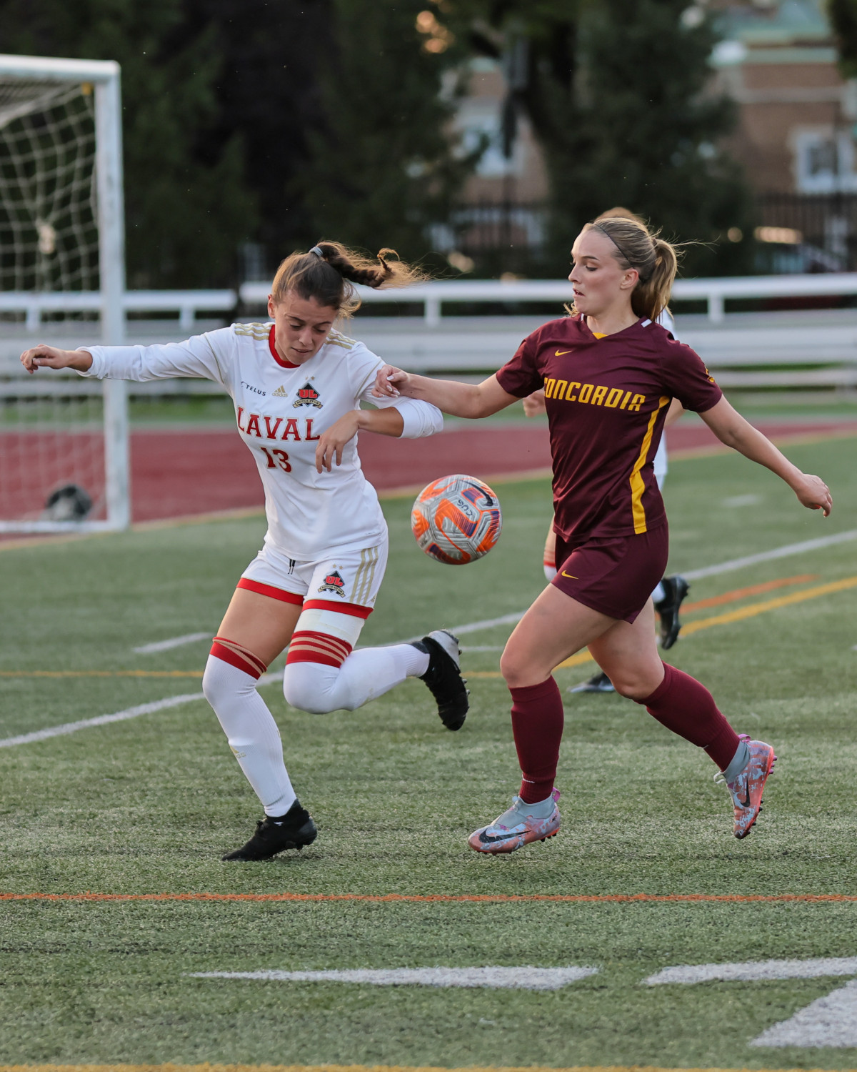 Rouge et Or 2, Stingers 1: Top-ranked Laval gets the better of Concordia | Sports - Vimarsana News