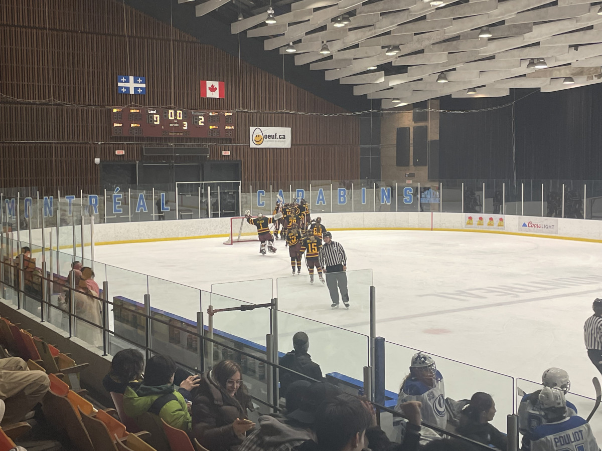 Stingers 2, Carabins 0: Concordia finishes regular season undefeated | Sports - Vimarsana News