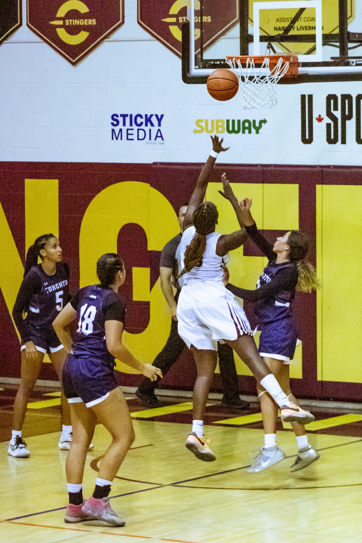 Stingers 53, Varsity Blues 49: Concordia takes the lead in the Concordia Classic | Sports - Vimarsana News