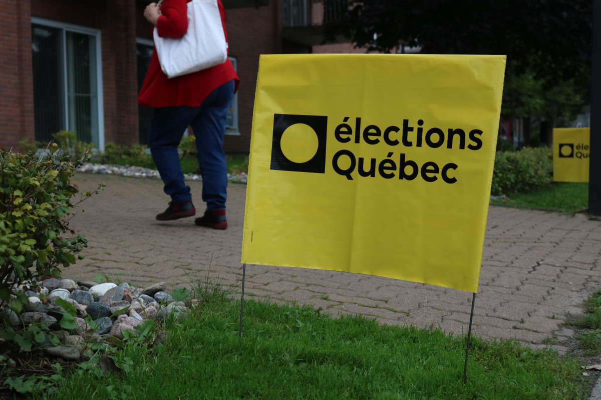 what-the-hell-is-going-on-in-the-provincial-election-news-the-link