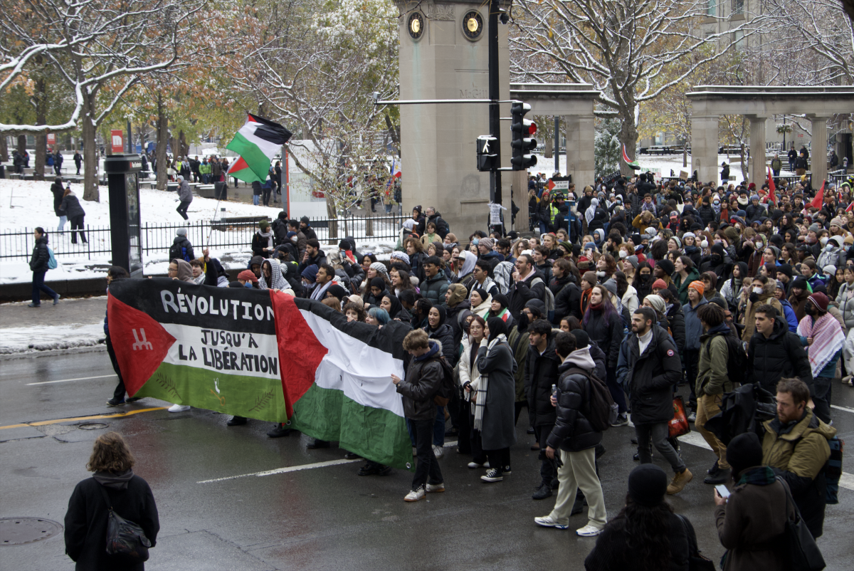 Pro-Palestinian student groups across Montreal unite on McGill campus | News - Vimarsana News
