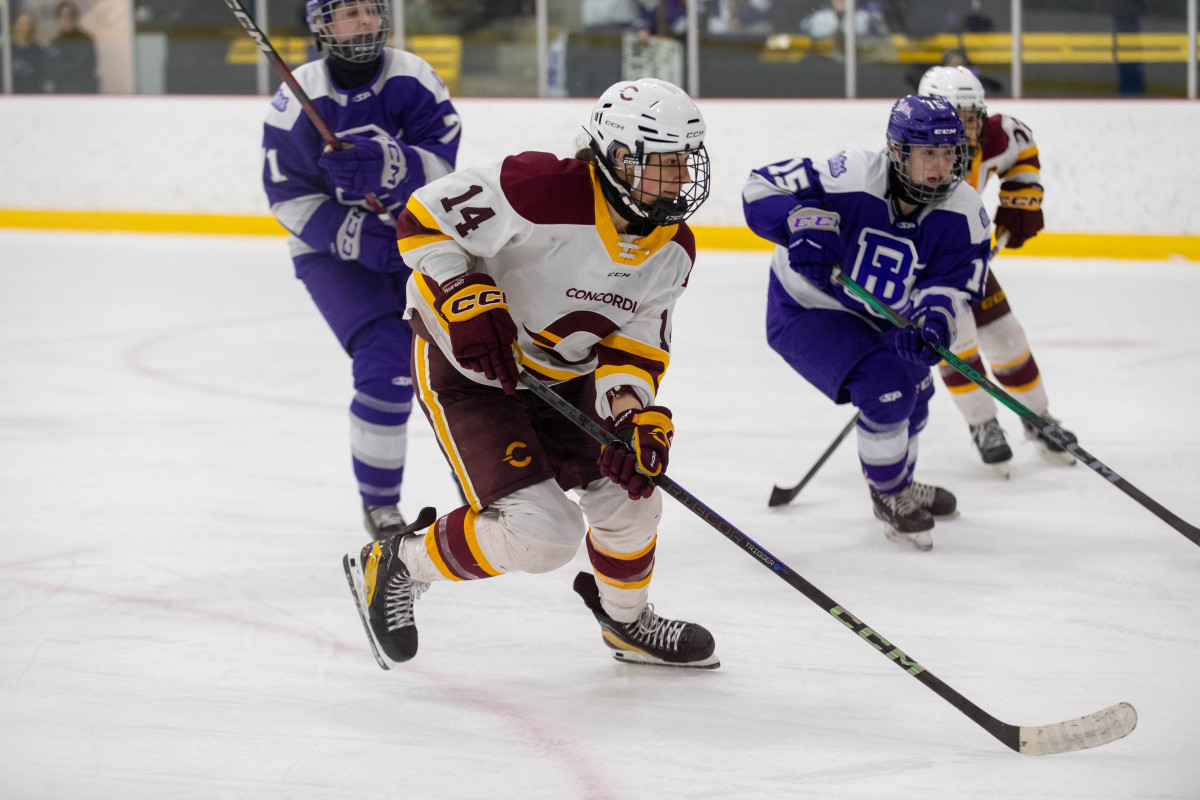 Stingers players honoured at Concordia Athletics banquet | Sports – The ...