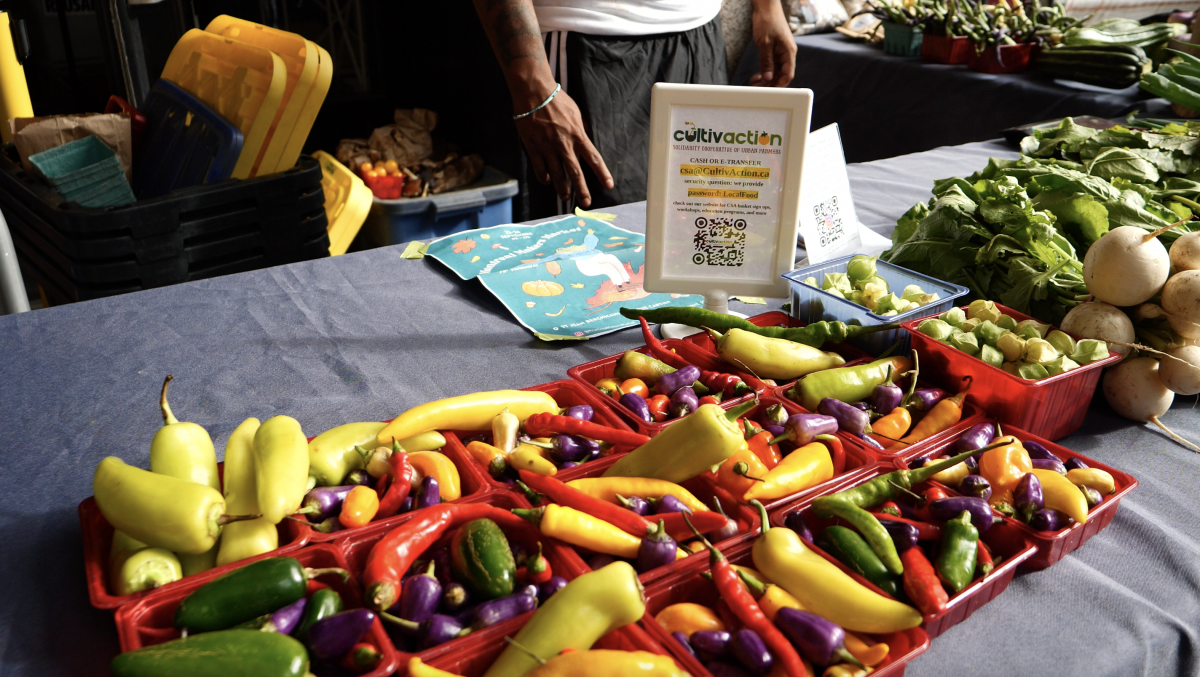 CFC's fight against food insecurity | News – The Link - Vimarsana News